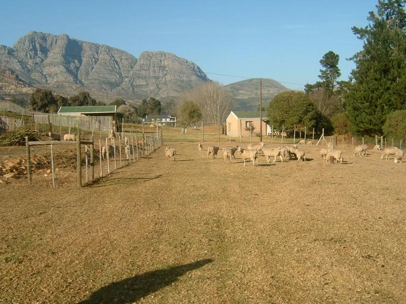 4 Bedroom Property for Sale in George Rural Western Cape